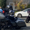 IMG 7361